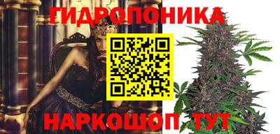 соль ск Краснокаменск