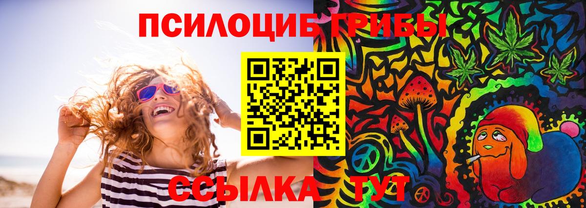 Псилоцибиновые грибы Psilocybine cubensis  Вход с VPN  Нарьян-Мар  Псилоцибиновые грибы прущие грибы 